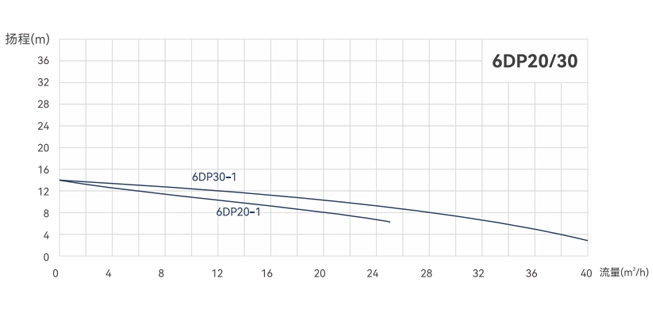 6DP20.jpg
